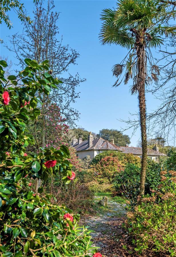 Bosvathick Garden Cottage Constantine Exteriör bild